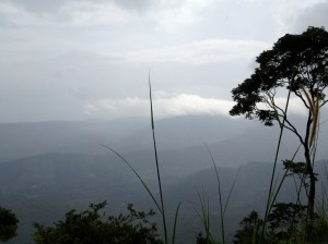 Western Ghats.