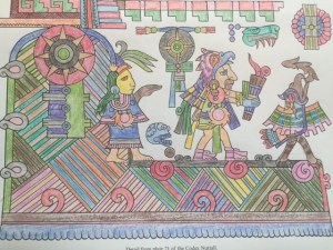 Photo credit: T. Mohammed, 2016.